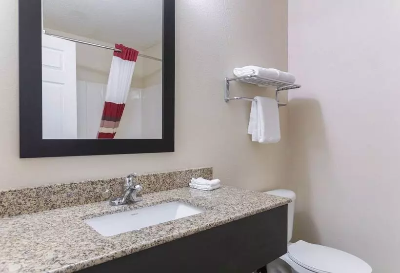 Отель Red Roof Inn Carrollton