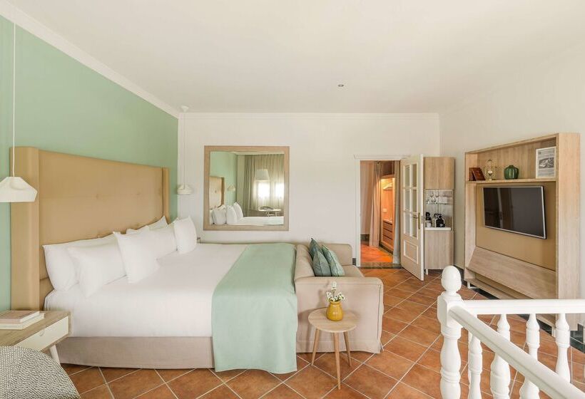 Palacio de Sancti Petri, a Gran Meliá Hotel