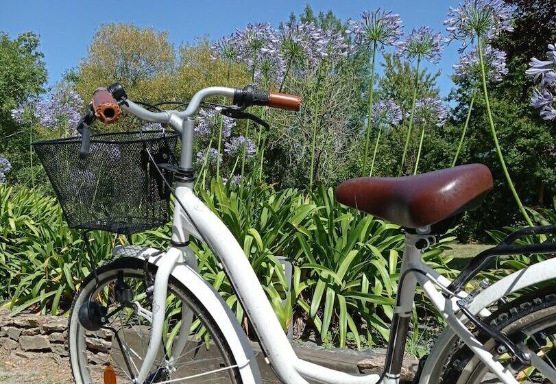 ホテル Camping L Abri Cotier