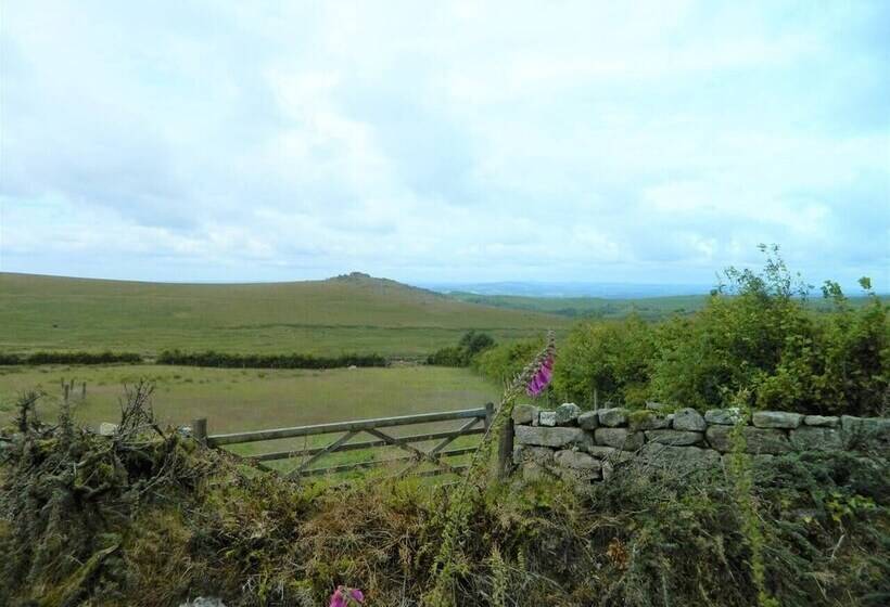 Dartmoor Barn On North Hessary Tor