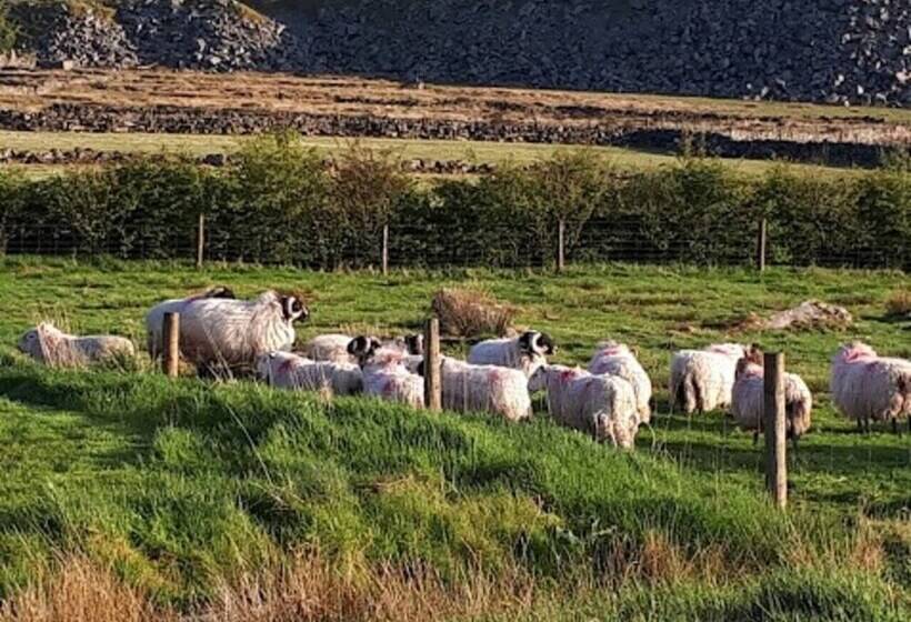 Dartmoor Barn On North Hessary Tor