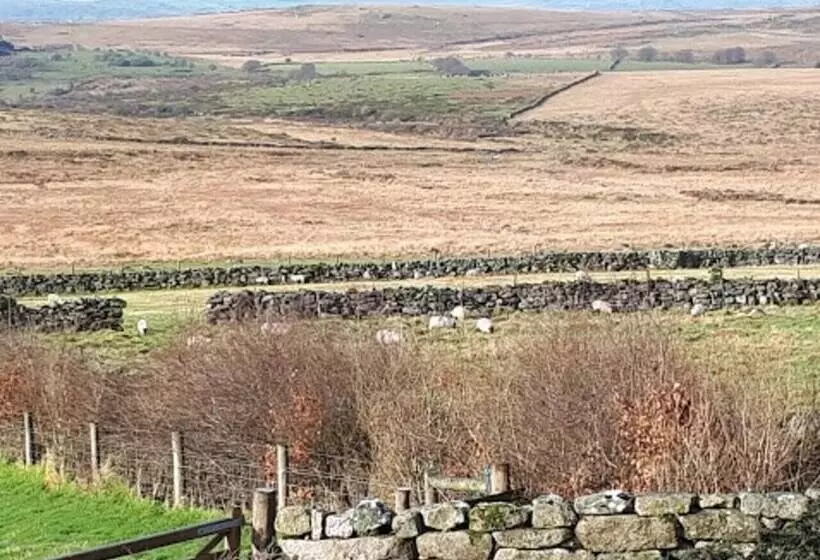 Dartmoor Barn On North Hessary Tor