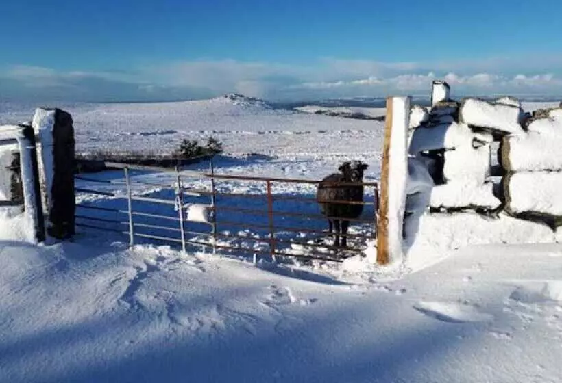 Dartmoor Barn On North Hessary Tor