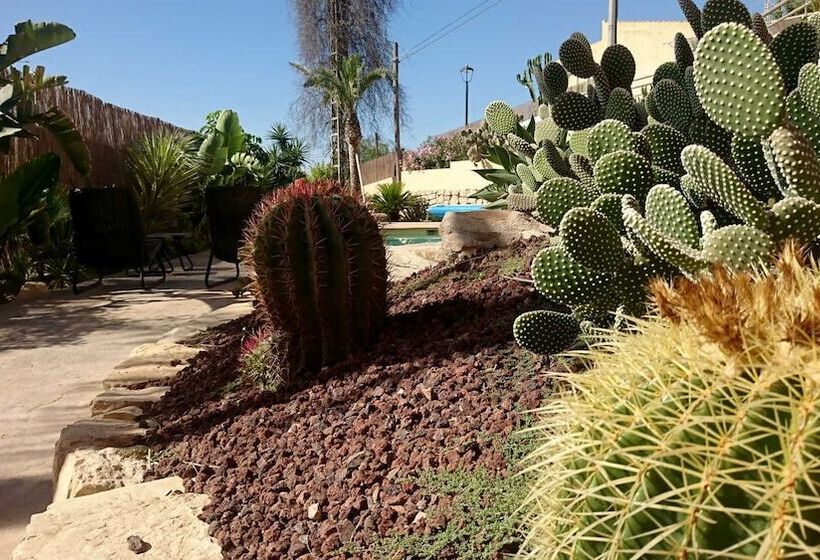 Guesthouse El Campello Alacant