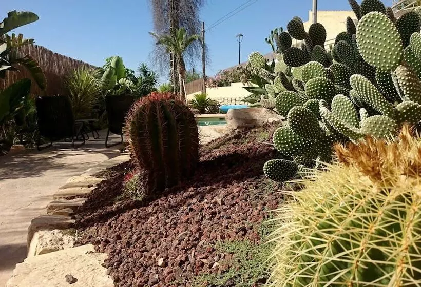 Guesthouse  El Campello Alacant