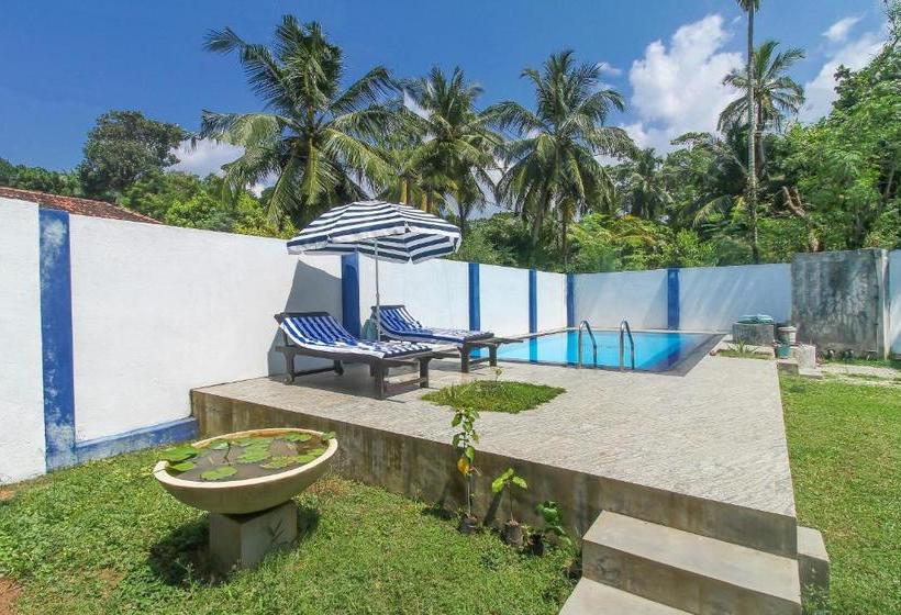 Отель Feel Villa