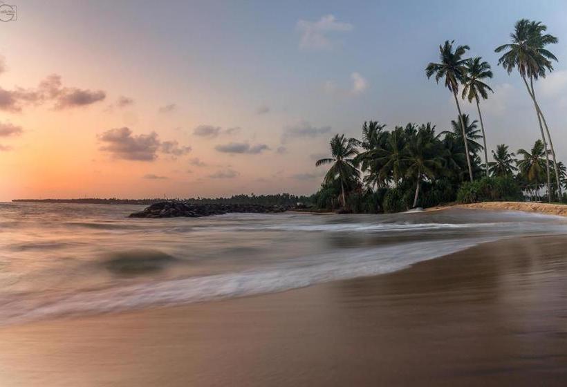 Отель Feel Villa