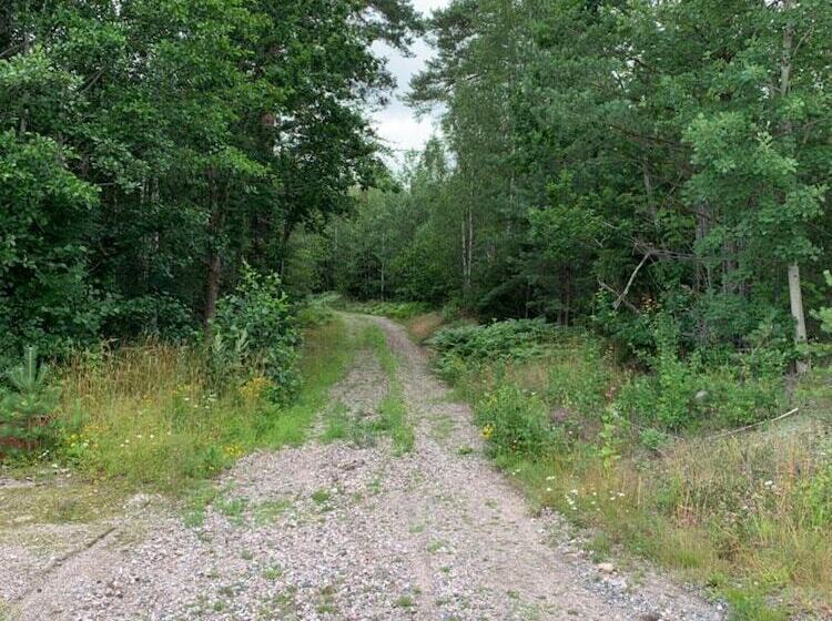 Noah Longstay Arboga