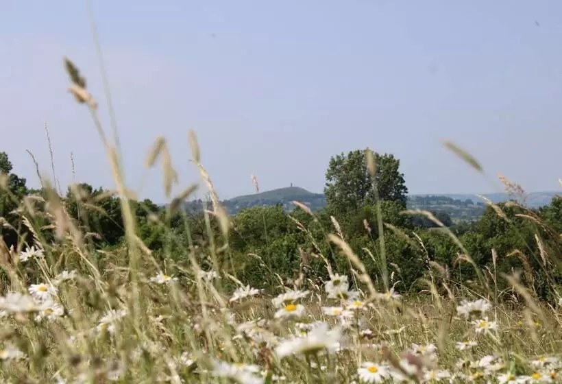 ペンション Banbury Meadow