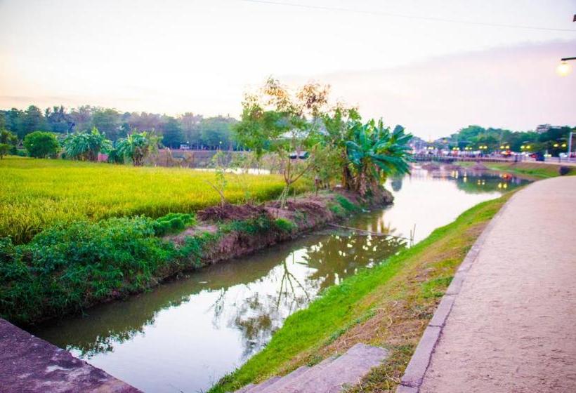 فندق Yoho Royal Mount Residence