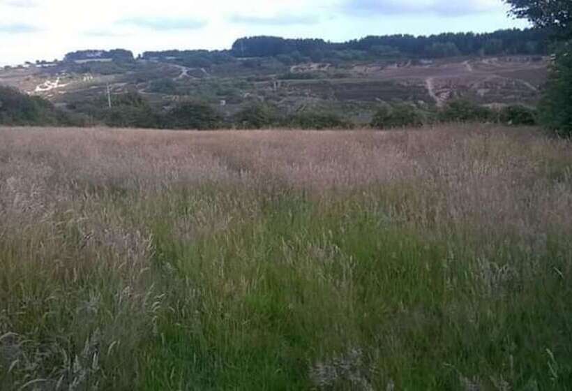 Lovely 3 Bed Annex Located On A Working Farm