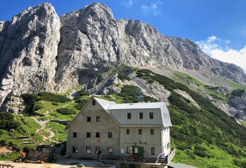 هتل Glamping Forest Edge