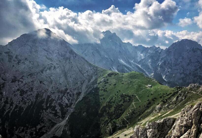 هتل Glamping Forest Edge