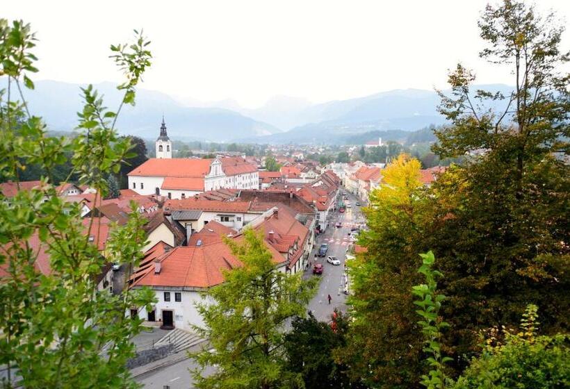 هتل Glamping Forest Edge