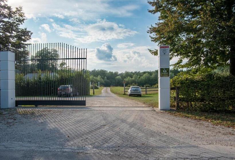 هتل Glamping Forest Edge