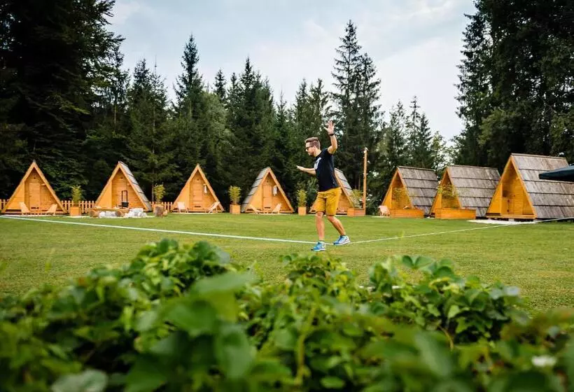 هتل Glamping Forest Edge