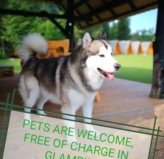 هتل Glamping Forest Edge