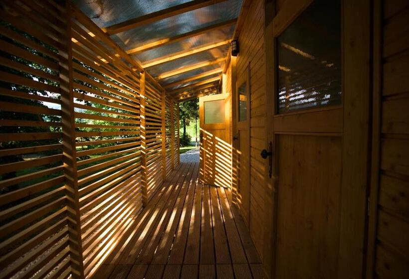 هتل Glamping Forest Edge