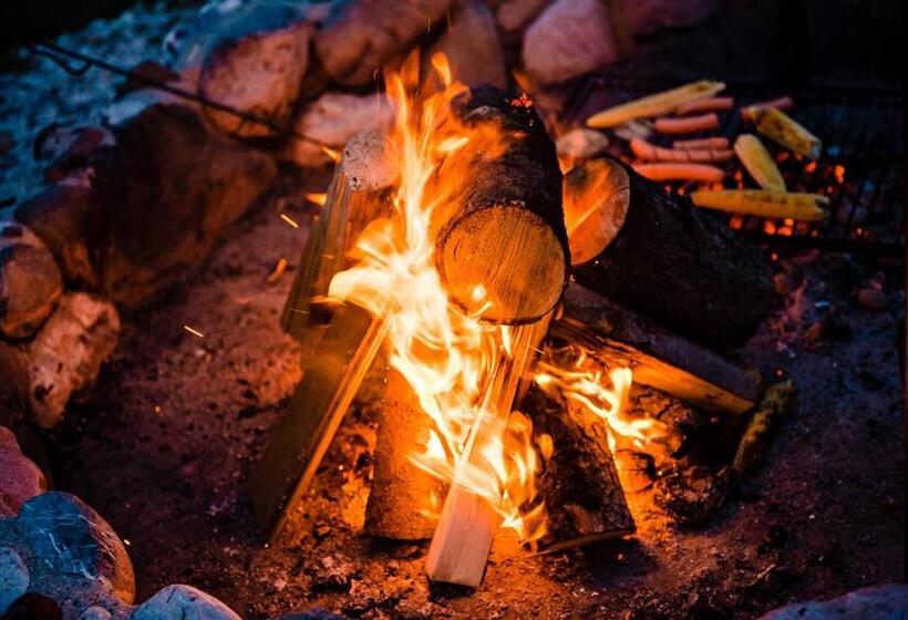 هتل Glamping Forest Edge