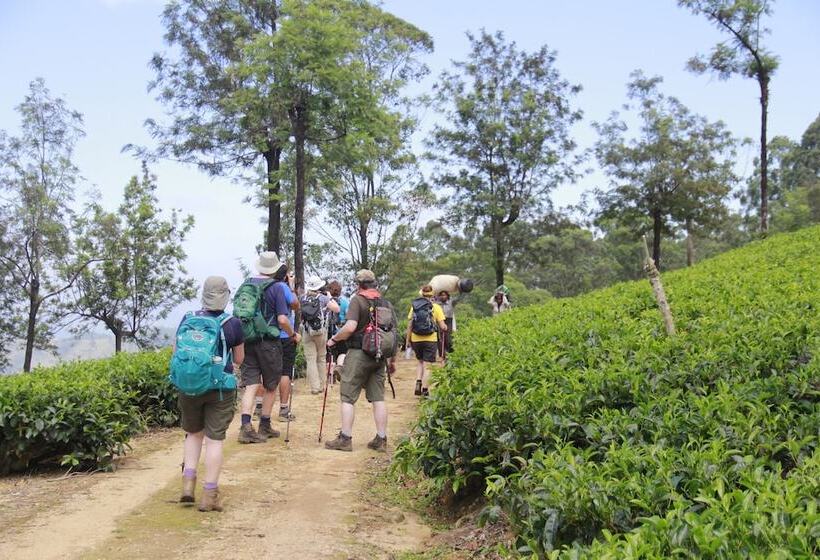 Hotell Magical Mountain Resort