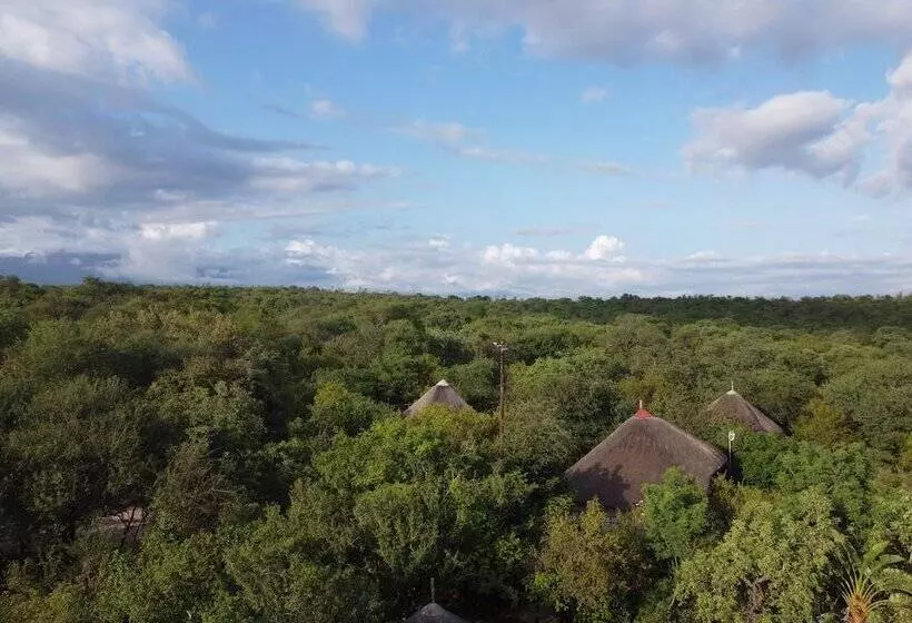 ホテル Mali Mali Safari Lodge
