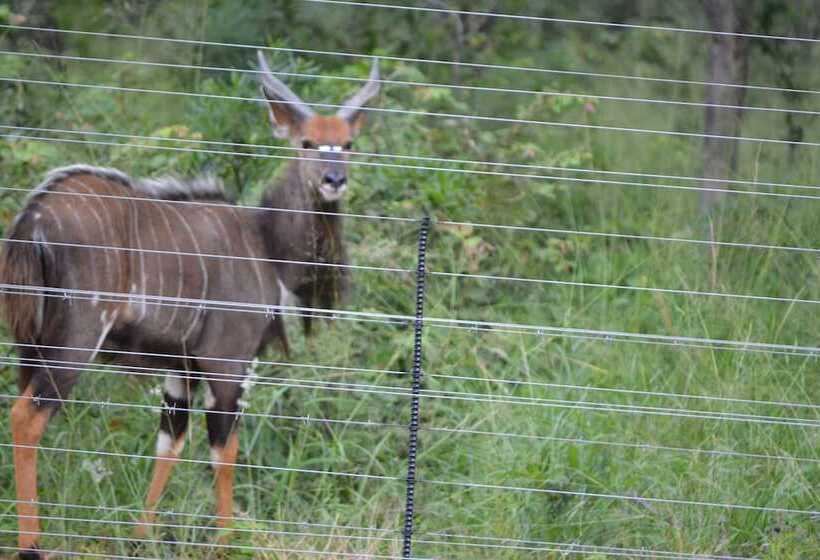 酒店 Mali Mali Safari Lodge