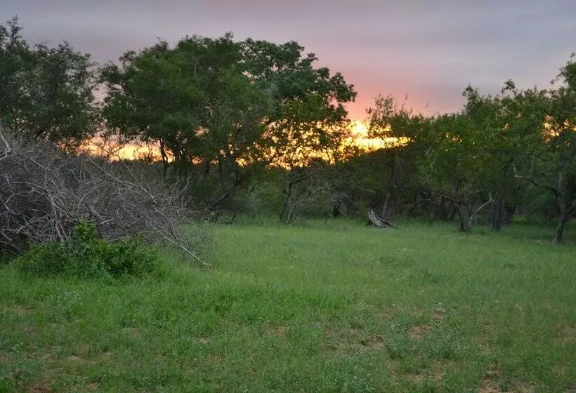 ホテル Mali Mali Safari Lodge