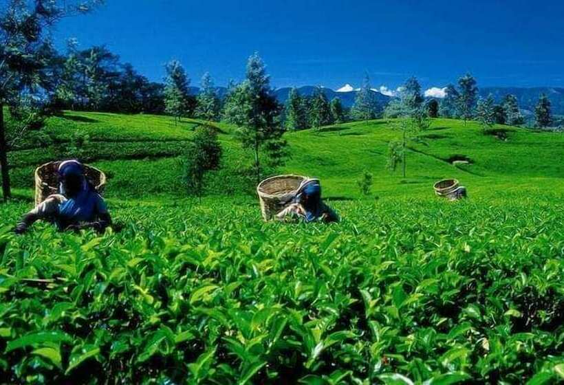 Pensionat Seven Hills Holiday Bungalow