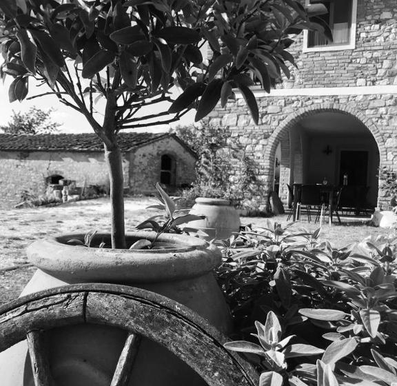 مبيت وإفطار Podere Il Sasso