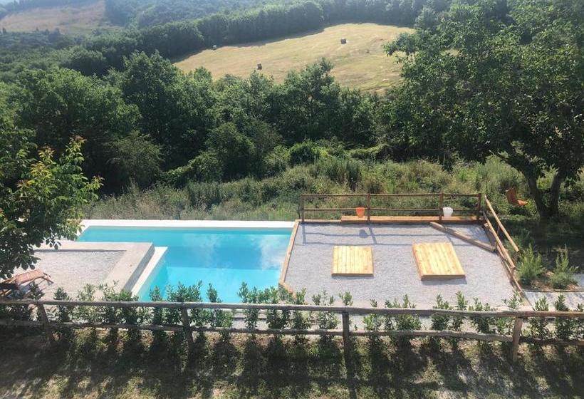 مبيت وإفطار Podere Il Sasso