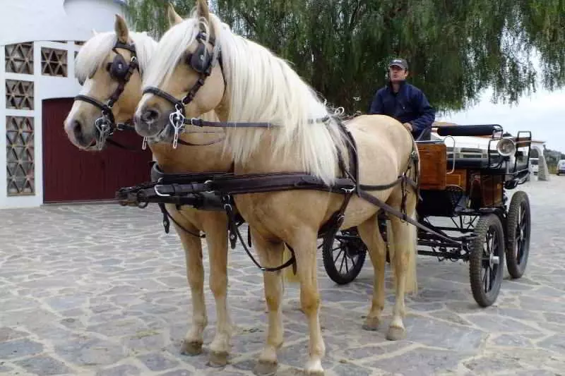 Horta da Moura Hotel Rural