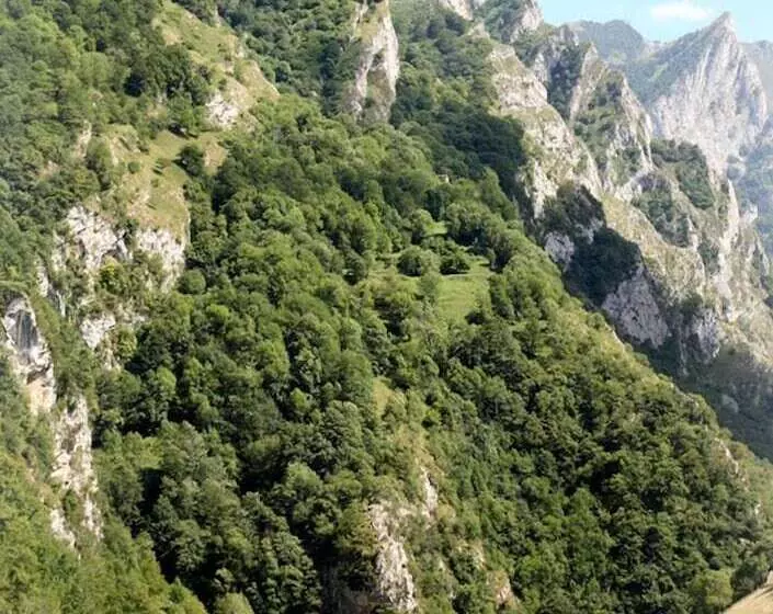 Сельский отель Puente Vidosa