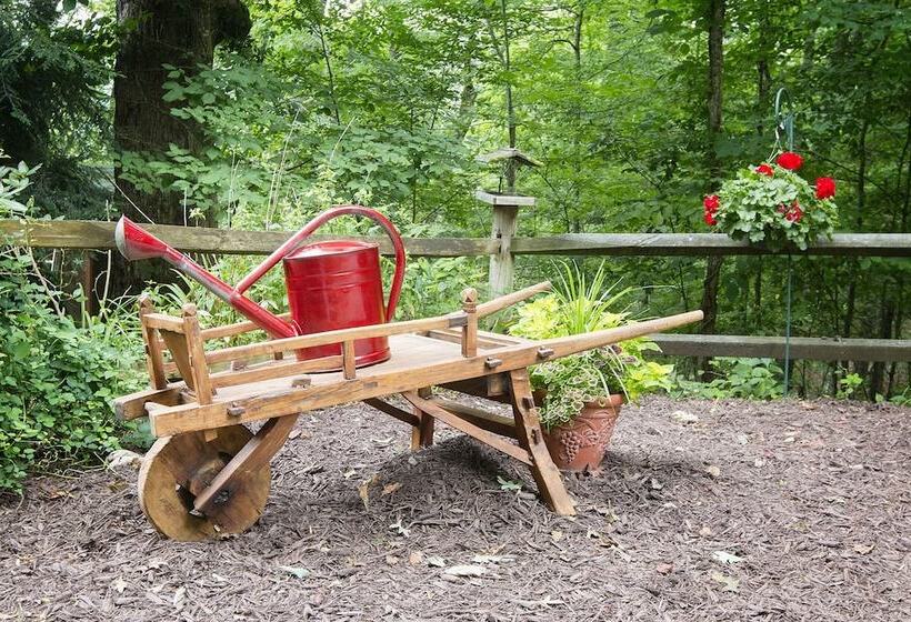 مبيت وإفطار Lazy Bear Lodge