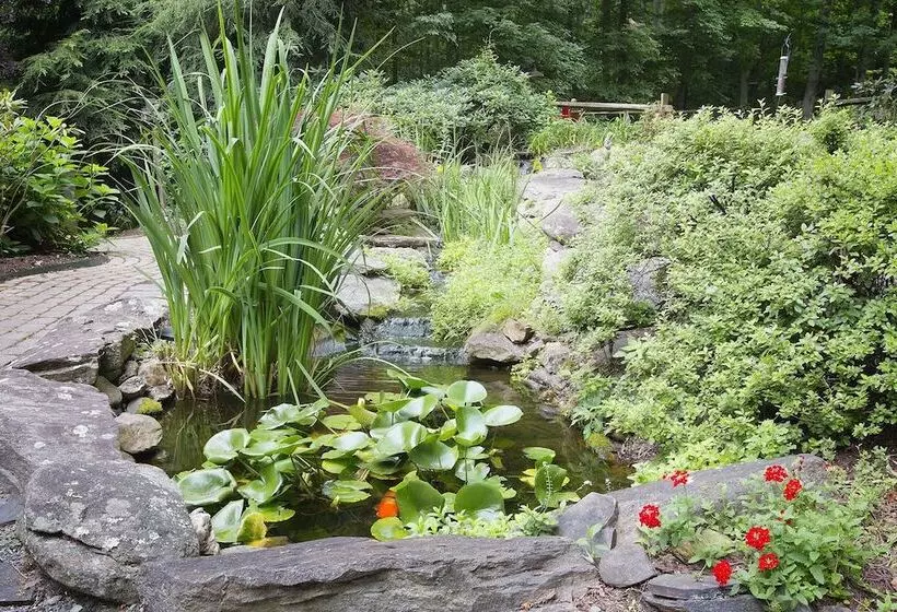 Aamiaismajoitus (B&B) Lazy Bear Lodge