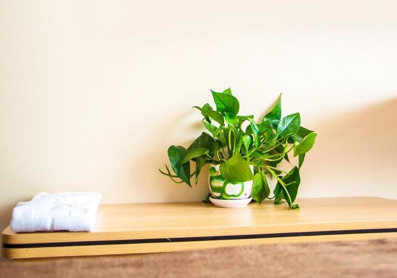 Thank Inn Chain Hotel Liaoning Huludao Xingcheng City Ningyuan Ancient City