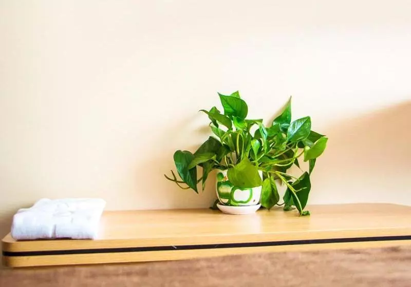 Thank Inn Chain Hotel Liaoning Huludao Xingcheng City Ningyuan Ancient City