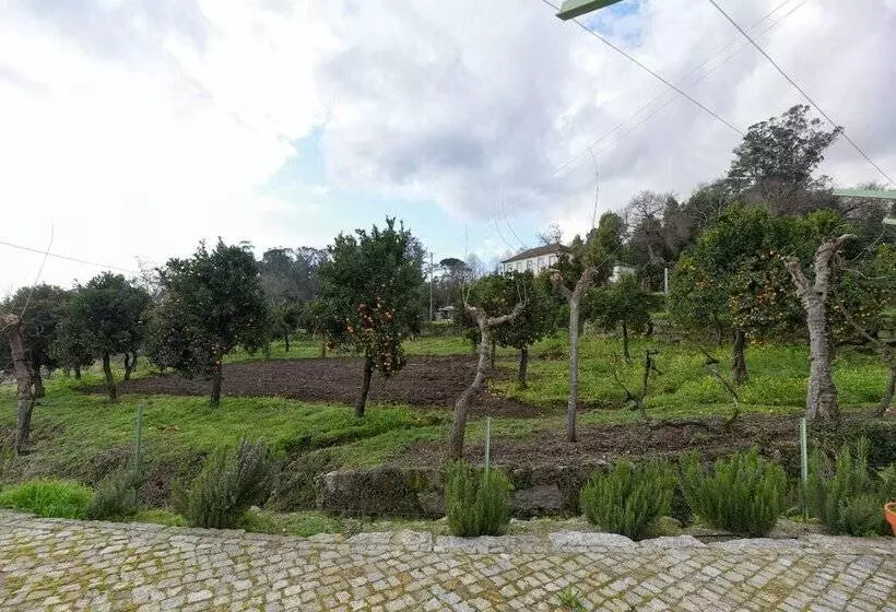 ホテル Vila Coura