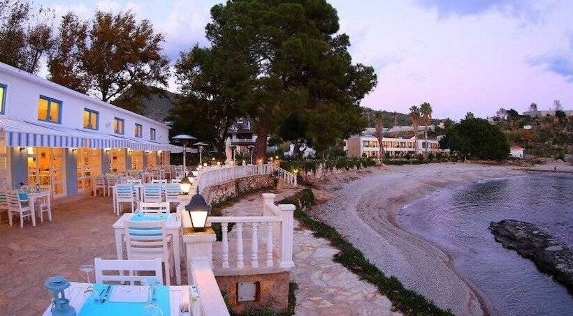 Отель Marvel Tree