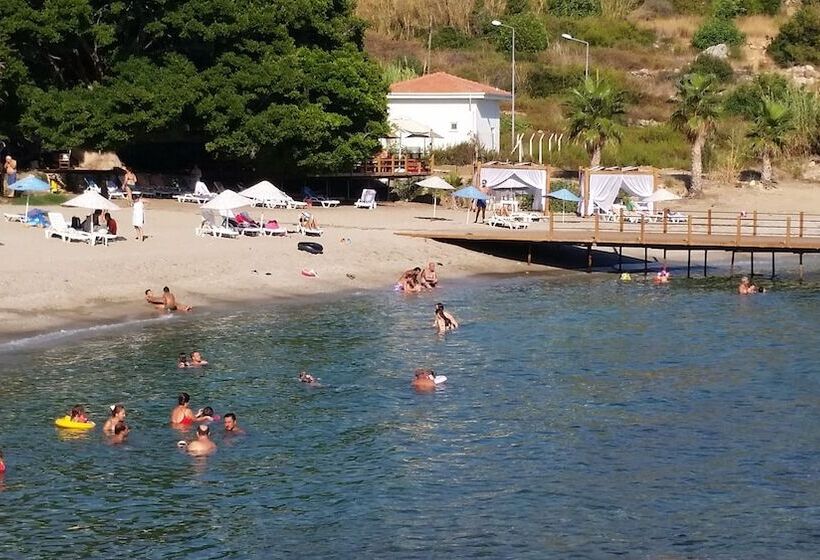 Отель Marvel Tree