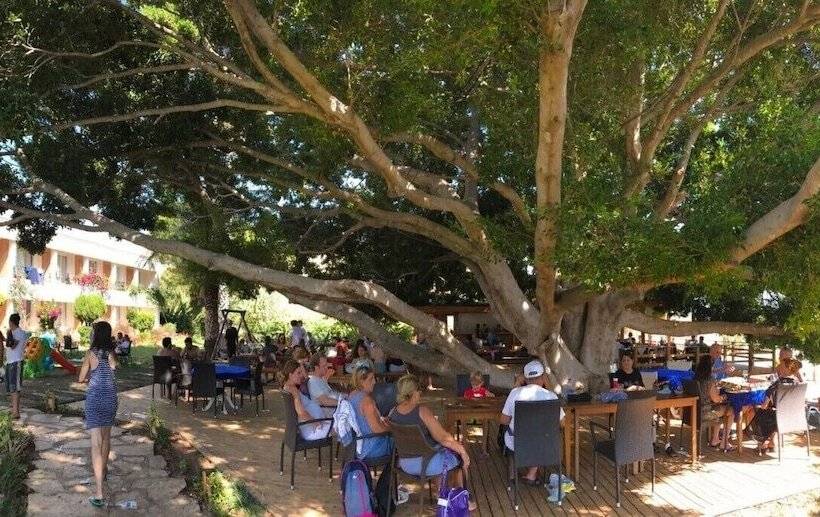 Отель Marvel Tree