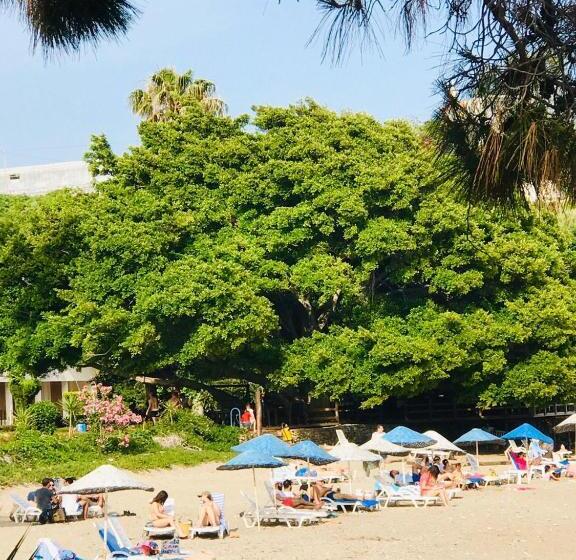 Отель Marvel Tree