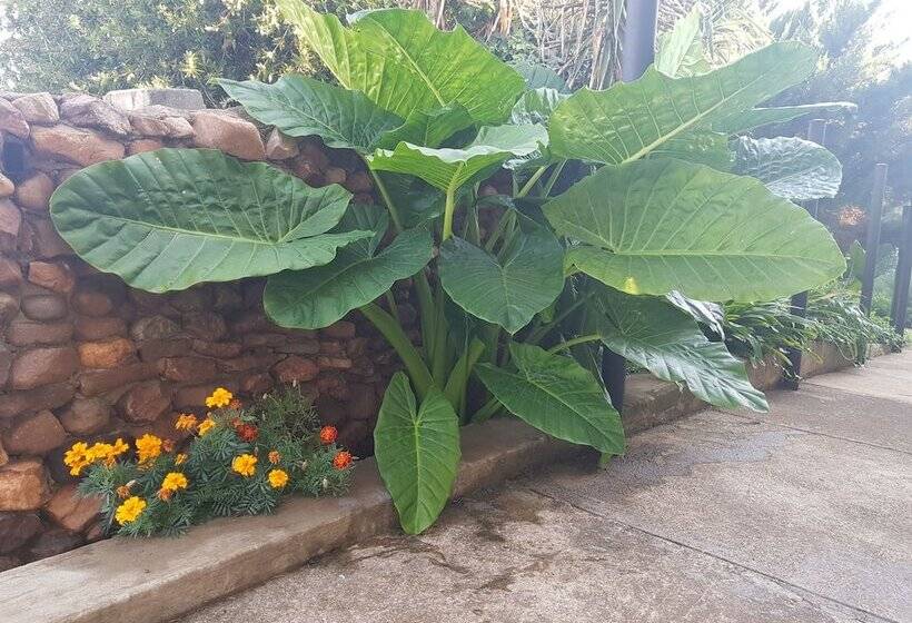 بنسيون Mountain View Country Estate