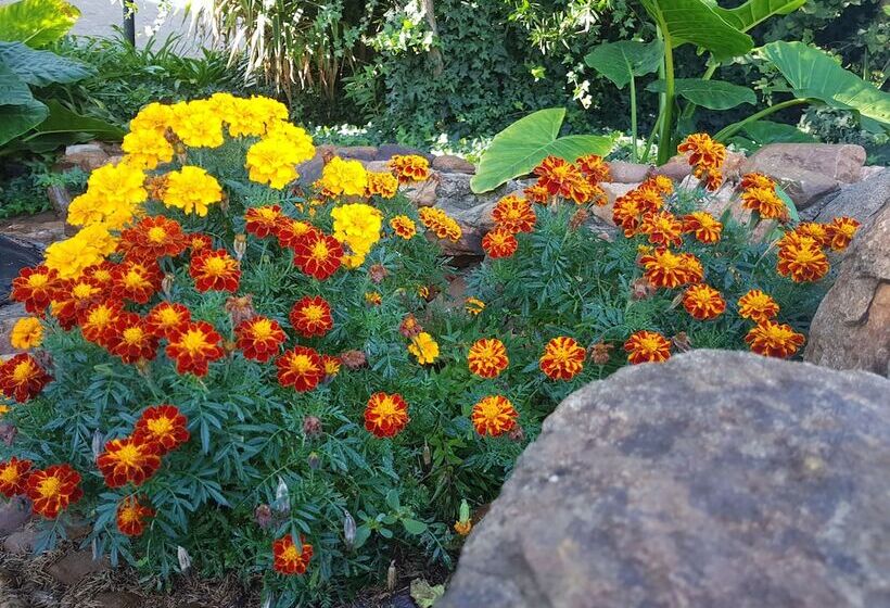 بنسيون Mountain View Country Estate