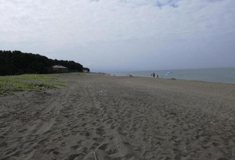 پانسیون Shekvetili+