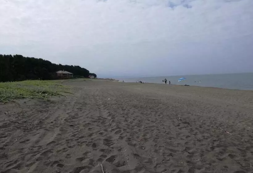 پانسیون Shekvetili+