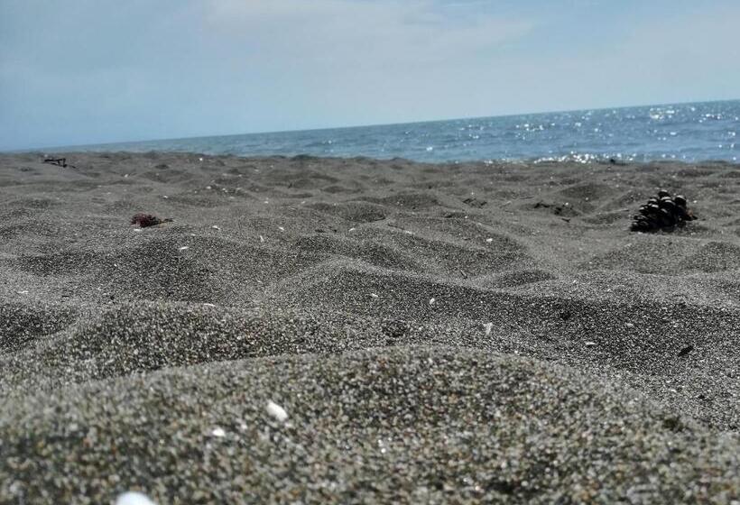 پانسیون Shekvetili+