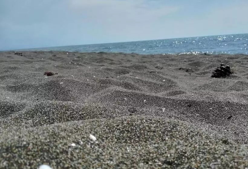 پانسیون Shekvetili+