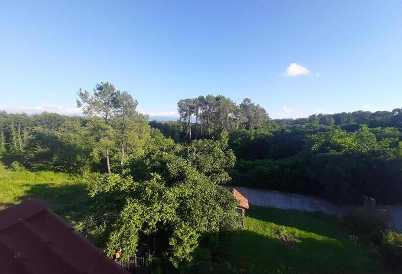 پانسیون Shekvetili+