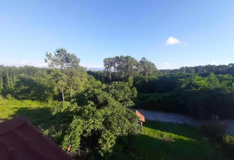 پانسیون Shekvetili+