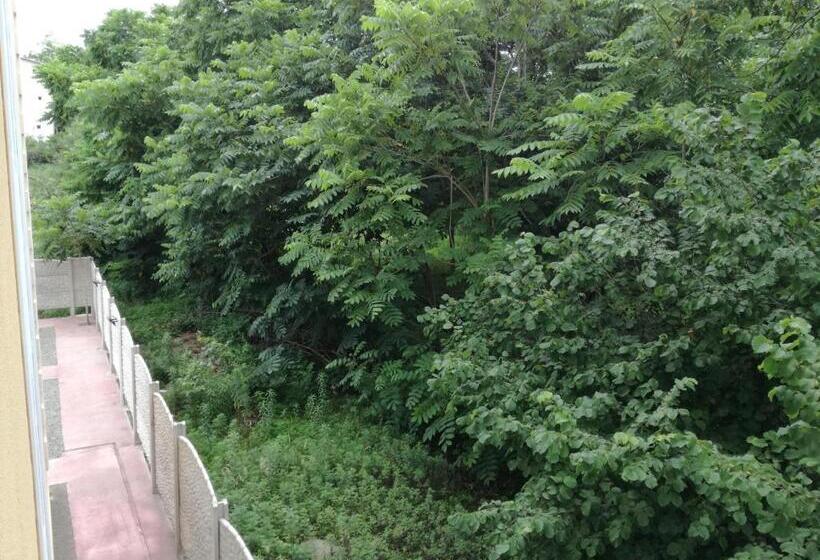 پانسیون Shekvetili+